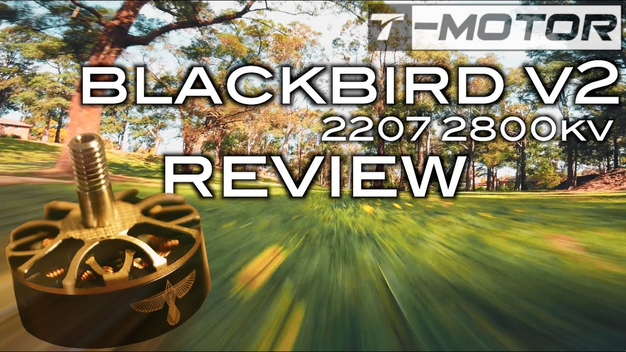 These motors are pure savage! T-Motor Blackbird v2 2207 2800kv Review
