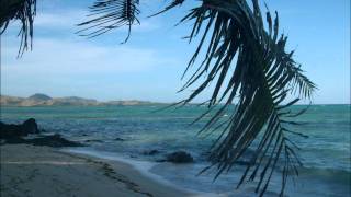 Is Tropical - South Pacific