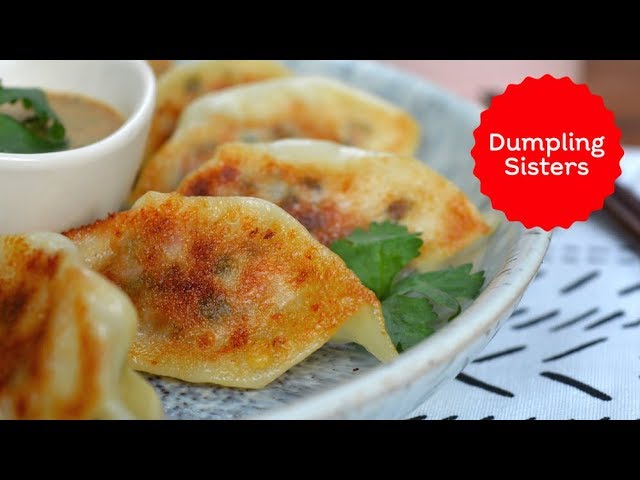 Easy Potsticker Dumplings | DUMPLING SISTERS #partner | Dumpling Sisters