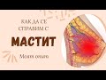 МАСТИТ | Как да се справим с него?