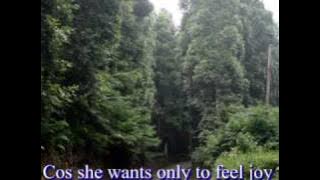 Just For You - Richard Cocciante - with Lyrics