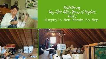Decluttering My Attic After Years of Neglect Part 1