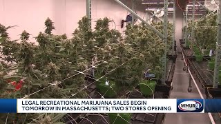 Legal recreational marijuana sales to begin tomorrow in Massachusetts