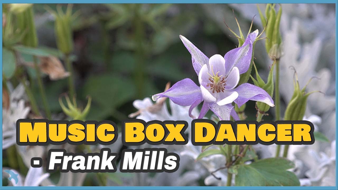 [4K] Frank Mills Music Box Dancer 1979 YouTube
