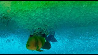 Ocean in a Bottle | STEAM Tutorial | Valero