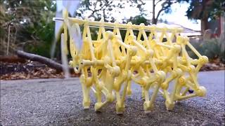 Mini Strandbeest wind walker | Goods On Fire