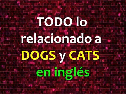 Inglés Americano - Definiendo 'Dog, Cat' (Lección 362)