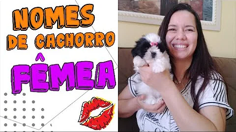 Qual nome colocar em cachorro fêmea?