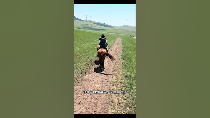 旅游搭子还是别乱找 #旅行 #travel