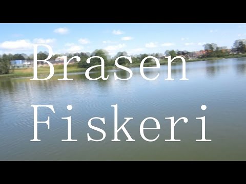 Video: Fiskerihemmeligheder: DIY Agn Til Brasen