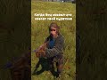 Когда бич сказал что снесет твой курятник #bestrust #bestrustservers  #rust #раст #растмем