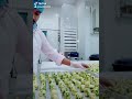 My job