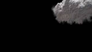 Celebrity CG Explosion wip -- Fume FX, 3DS Max & RealFlow Net Worth