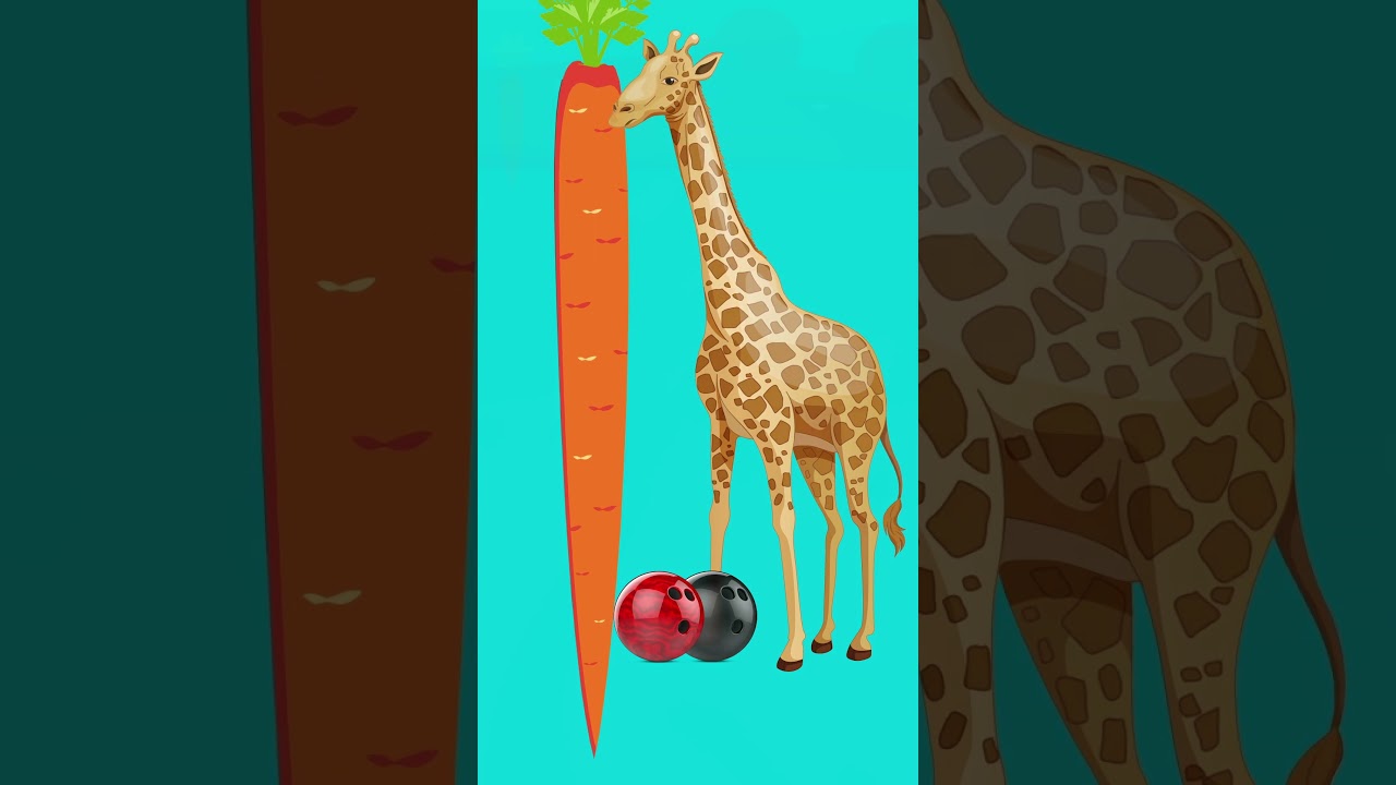 This Carrot Is Same Height As A Giraffe