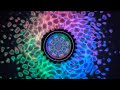 KYMAT Sonic Bloom - Cymatics