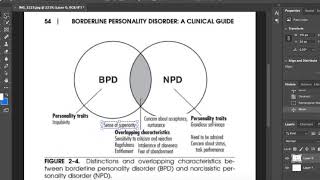 Borderlines are Failed Narcissists.