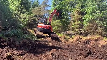 Removing Large Trees with Dymax Tree Shear on Kubota KX080-4 | Treeclear UK