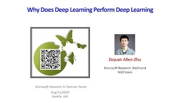 Why Does Deep Learning Perform Deep Learning - MSR AI Seminar 08/11/2020