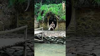 Outdoor Life in Wet Weather | Routine with My Animals