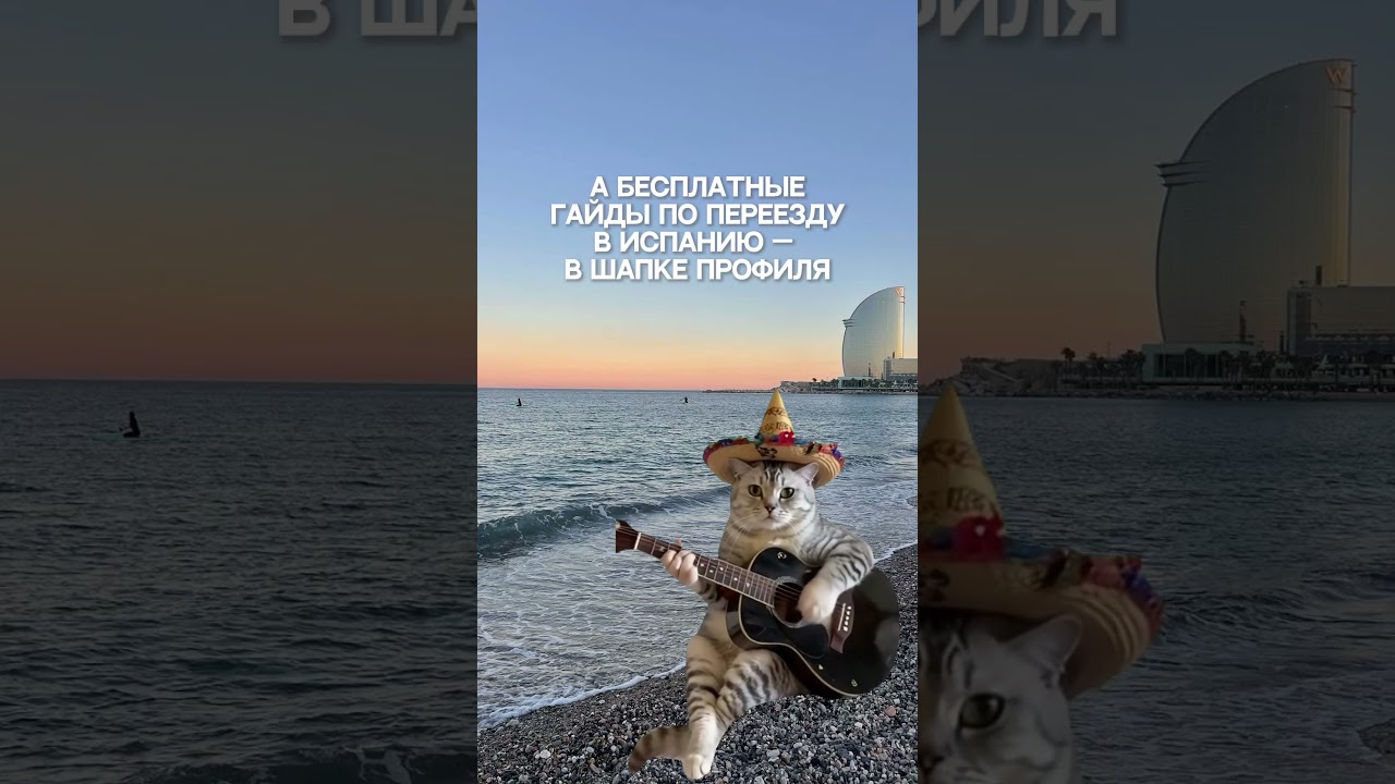 Migrun — эмиграция проще, чем кажется. Визы, ВНЖ и переезд за границу 