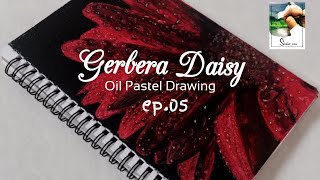 Gerbera daisy |Red flower drawing with oil pastels on paper |time-lapse video|ep.05 |Shafied zone