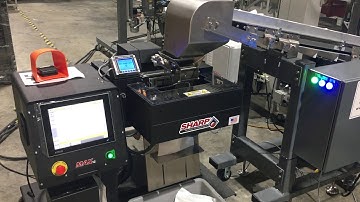 Sharp Bagger indexing Infeed conveyor