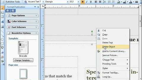 Publisher 2003 Tutorial Deleting Objects Microsoft Training Lesson 3.9