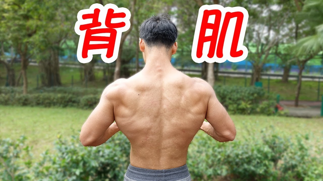 背肌訓練技巧 增強背肌感受度 幫助所有背肌動作 Fitdevmo