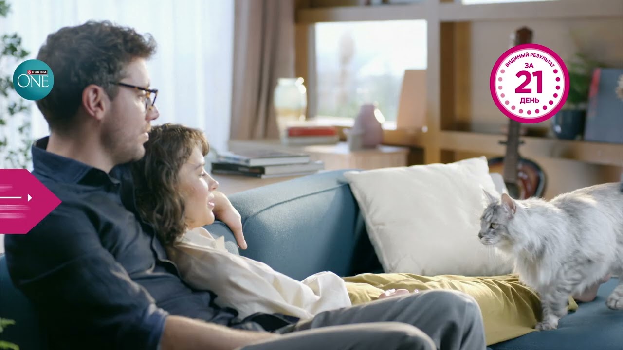 Purina One 3WC 2025 10'' 16x9 RU YouTube