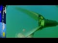 Gori Folding Propeller Installation while in the Water