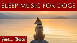 Soothing Music for Dogs 🐶 Calming Tunes to Relax and Unwind by Merlin's Realms - Music for Dogs and Humans 4,349 views 3 months ago 12 hours