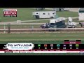 First-crop Sires: Girl With A Dream by Practical Joke Thumbnail