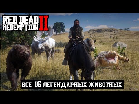 Видео: RDR 2 ВСЕ ЛЕГЕНДАРНЫЕ ЖИВОТНЫЕ