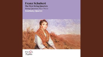 String Quartet No. 9 in G Minor, D. 173: III. Menuetto. Allegro vivace. Trio