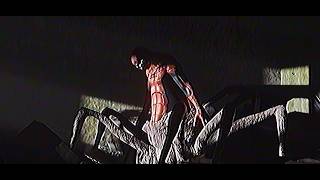 If SPIDER-MAN Became fully Mutated - Analog Horror Animation
