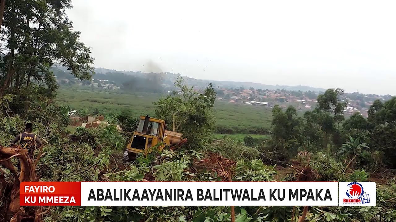 Fayiro ENTALO KU TTAKA LYA KIGGUNDU ZIZEEMU.