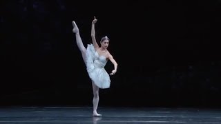 3rd shade variation (La Bayadère): Naghdi, Park, Vasnetsova