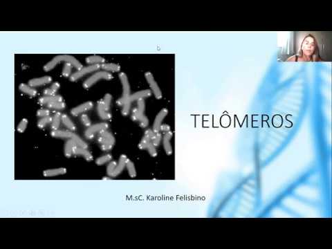 Vídeo: Diferença Entre Telômeros E Telomerase