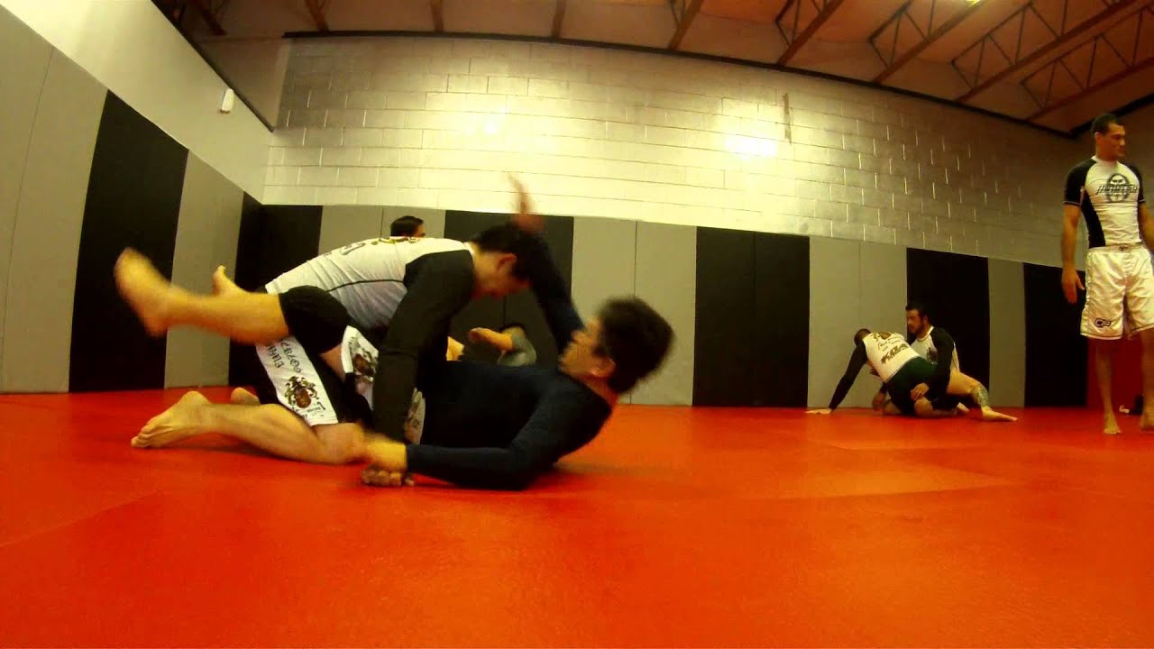 BJJ- KOA Fitness Center Short