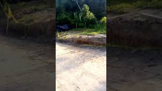 Vedira  girpn sin  corrucion(2)