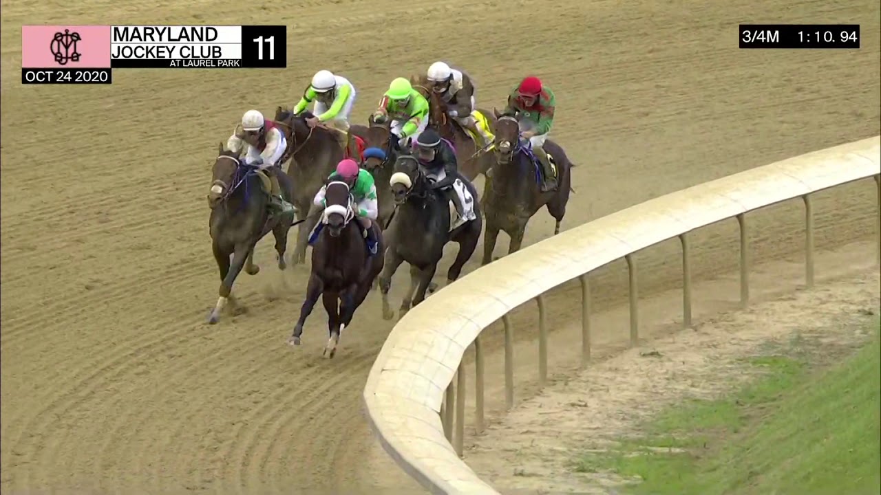 Monday Morning QB Wins Maryland Million Classic YouTube