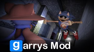 SONIC EYX COMES AFTER US!!!!!!