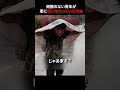 両腕のない青年が車に覆い被さっていた理由