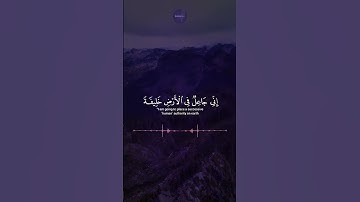 ﴿ هُوَ الَّذِي خَلَقَ لَكُم مَّا فِي الْأَرْضِ جَمِيعًا #قرآن #تلاوة_عذبة #آيات #quran #حالات
