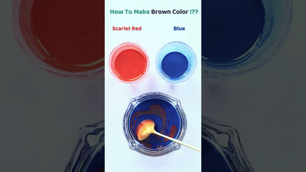 The Science and Art of Color Mixing: A Complete Guide to Blending Colors Effectively