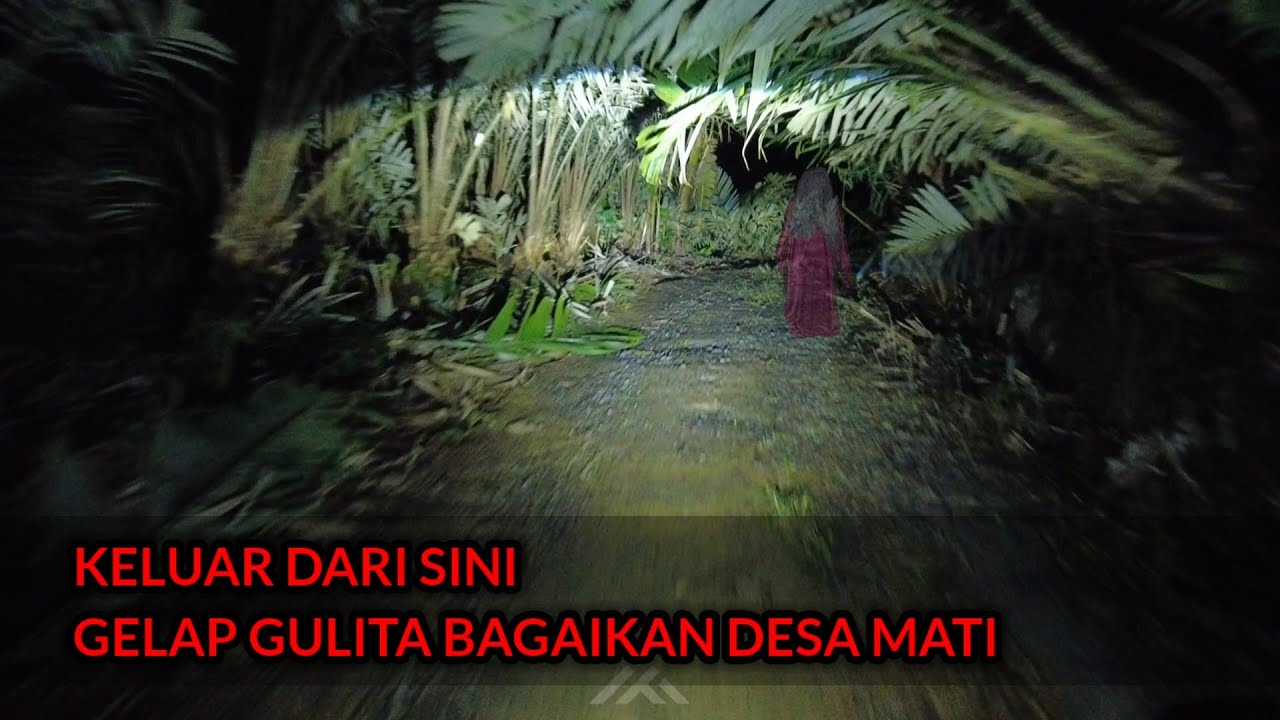 TURUN GUNUNG DARI PEMUKIMAN TERPENCIL - MENERABAS HUTAN BANJARNEGARA PEGUNUNGAN 