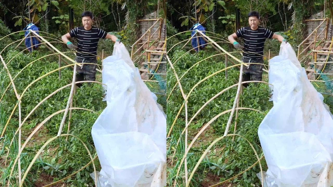 他小时候的味道，我是第一次吃，味道有点像吃辣条#我的田园生活 #乡村生活家 #把家乡的味道分享给大家 #平淡治愈的乡村生活 #乡村美食