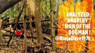 Scarboro Sasquatch Yzed Anarchy A Universal Sign Of The Dogman Real Dogman