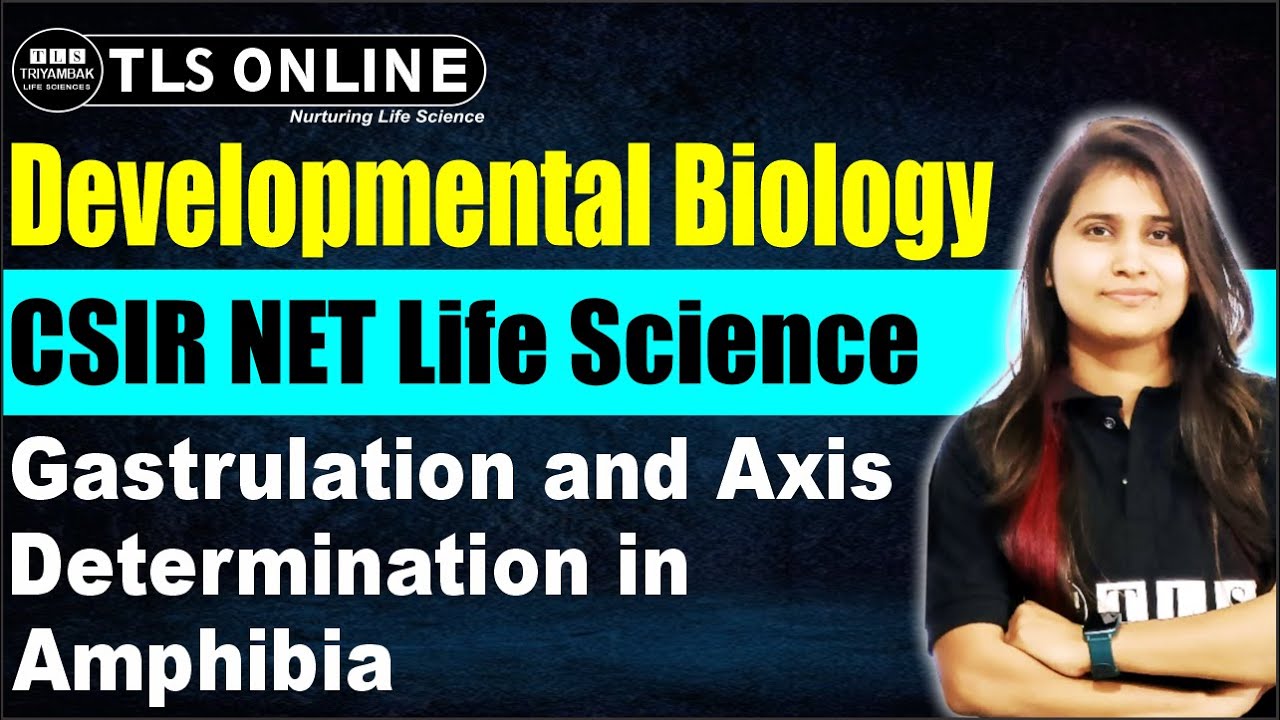 Developmental Biology I  𝐆𝐚𝐬𝐭𝐫𝐮𝐥𝐚𝐭𝐢𝐨𝐧 𝐚𝐧𝐝 𝐀𝐱𝐢𝐬 𝐃𝐞𝐭𝐞𝐫𝐦𝐢𝐧𝐚𝐭𝐢𝐨𝐧 𝐢𝐧 𝐀𝐦𝐩𝐡𝐢𝐛𝐢𝐚 I CSIR NET Life Science